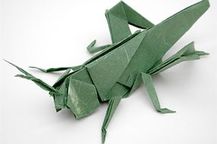 Oragami Grasshopper